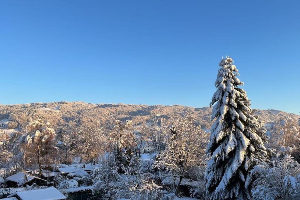 Ferienwohnung Am Seeberg ลินเดา ภายนอก รูปภาพ